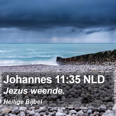 Johannes 11:35 NLD Bible Verse Image