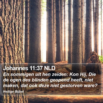 Johannes 11:37 NLD Bible Verse Image