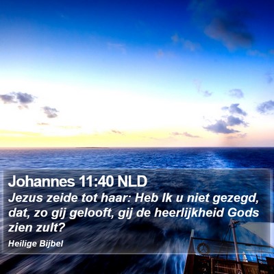 Johannes 11:40 NLD Bible Verse Image