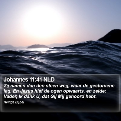 Johannes 11:41 NLD Bible Verse Image