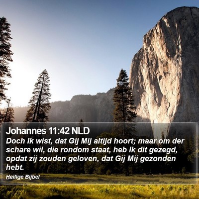 Johannes 11:42 NLD Bible Verse Image