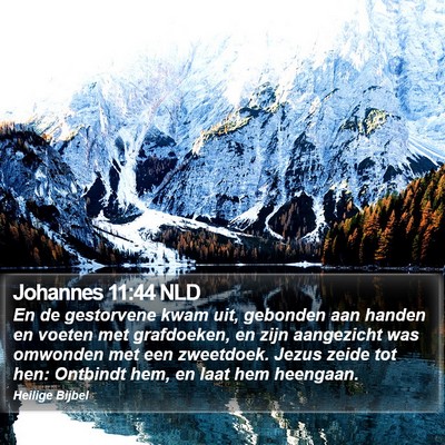 Johannes 11:44 NLD Bible Verse Image
