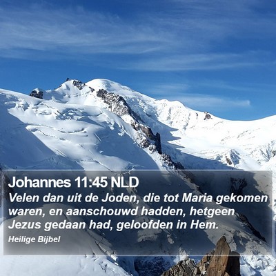 Johannes 11:45 NLD Bible Verse Image