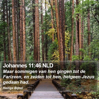 Johannes 11:46 NLD Bible Verse Image