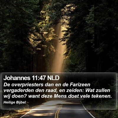 Johannes 11:47 NLD Bible Verse Image