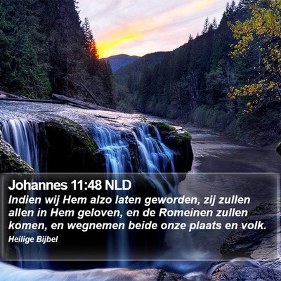 Johannes 11:48 NLD Bible Verse Image