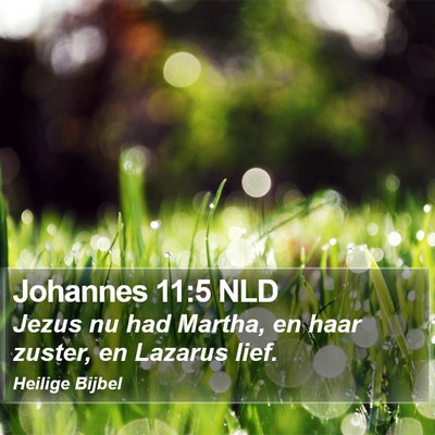 Johannes 11:5 NLD Bible Verse Image