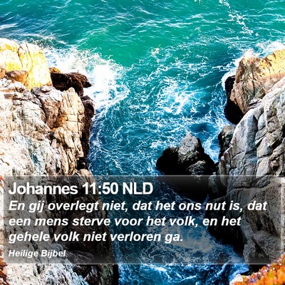 Johannes 11:50 NLD Bible Verse Image