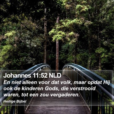Johannes 11:52 NLD Bible Verse Image
