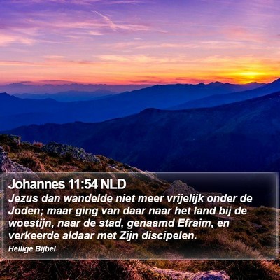 Johannes 11:54 NLD Bible Verse Image