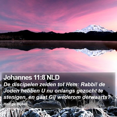 Johannes 11:8 NLD Bible Verse Image