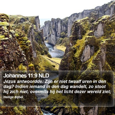 Johannes 11:9 NLD Bible Verse Image