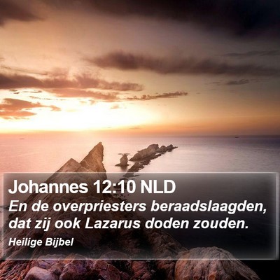 Johannes 12:10 NLD Bible Verse Image