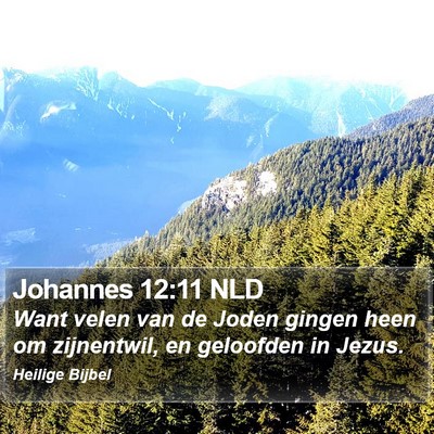 Johannes 12:11 NLD Bible Verse Image