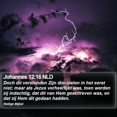 Johannes 12:16 NLD Bible Verse Image
