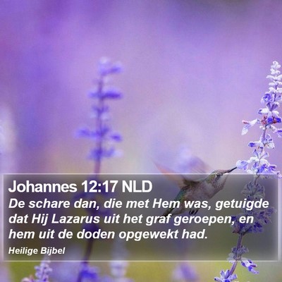 Johannes 12:17 NLD Bible Verse Image