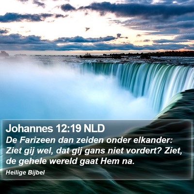 Johannes 12:19 NLD Bible Verse Image