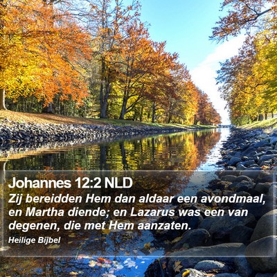 Johannes 12:2 NLD Bible Verse Image
