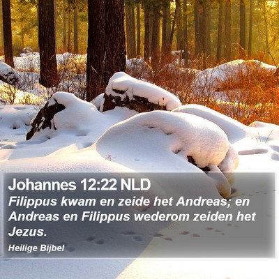 Johannes 12:22 NLD Bible Verse Image