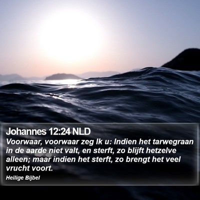 Johannes 12:24 NLD Bible Verse Image