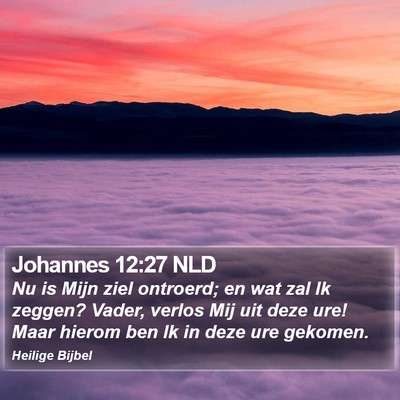 Johannes 12:27 NLD Bible Verse Image