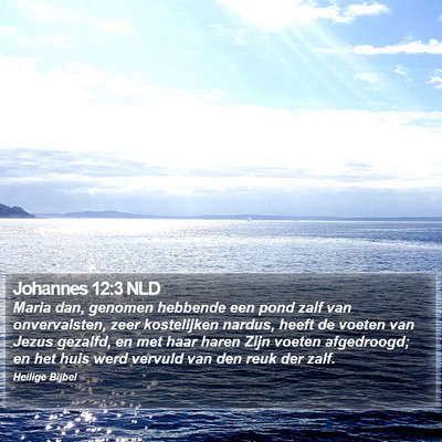 Johannes 12:3 NLD Bible Verse Image
