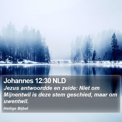 Johannes 12:30 NLD Bible Verse Image