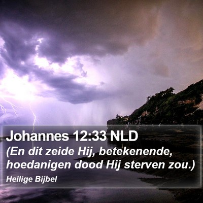Johannes 12:33 NLD Bible Verse Image