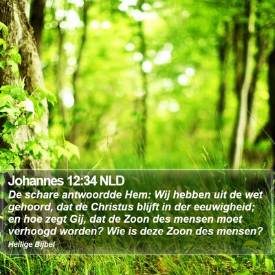 Johannes 12:34 NLD Bible Verse Image