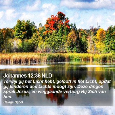 Johannes 12:36 NLD Bible Verse Image