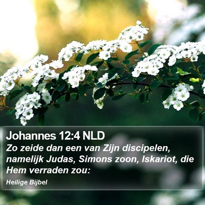 Johannes 12:4 NLD Bible Verse Image