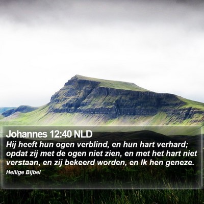 Johannes 12:40 NLD Bible Verse Image