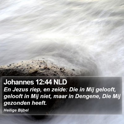 Johannes 12:44 NLD Bible Verse Image