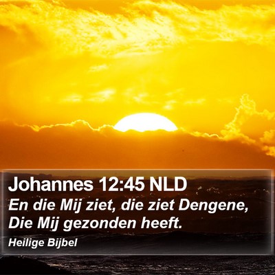 Johannes 12:45 NLD Bible Verse Image