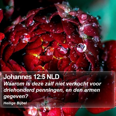 Johannes 12:5 NLD Bible Verse Image