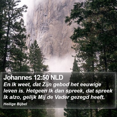 Johannes 12:50 NLD Bible Verse Image