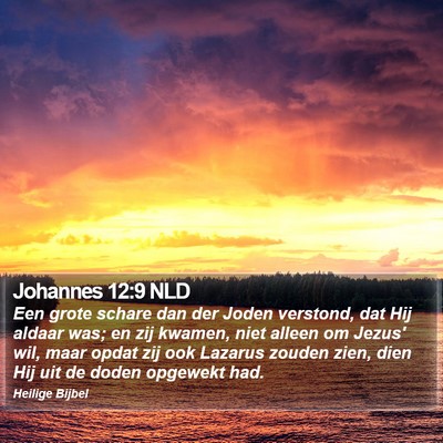 Johannes 12:9 NLD Bible Verse Image