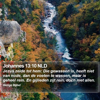 Johannes 13:10 NLD Bible Verse Image