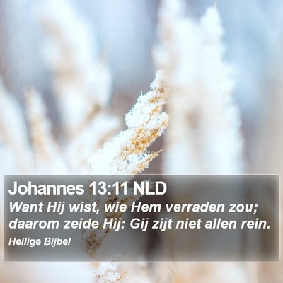 Johannes 13:11 NLD Bible Verse Image