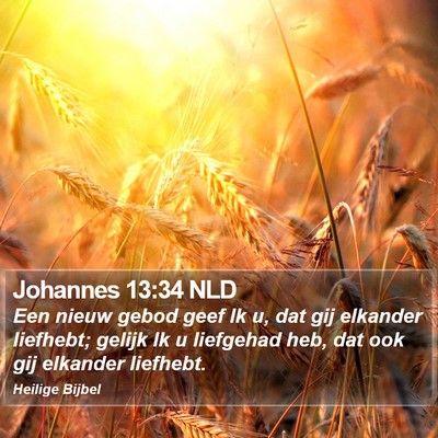 Johannes 13:34 NLD Bible Verse Image
