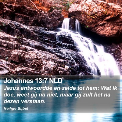 Johannes 13:7 NLD Bible Verse Image