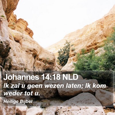 Johannes 14:18 NLD Bible Verse Image