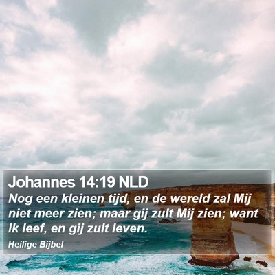 Johannes 14:19 NLD Bible Verse Image