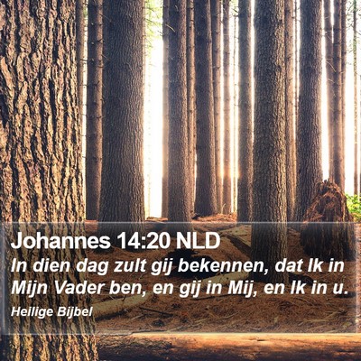 Johannes 14:20 NLD Bible Verse Image