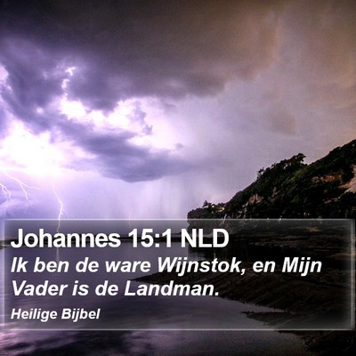 Johannes 15:1 NLD Bible Verse Image