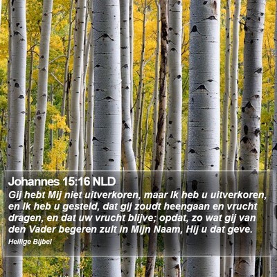 Johannes 15:16 NLD Bible Verse Image