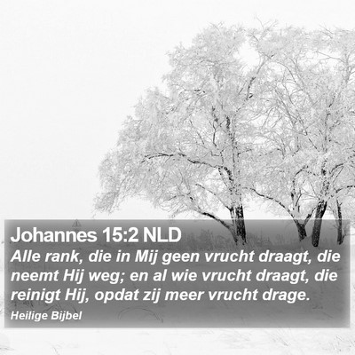 Johannes 15:2 NLD Bible Verse Image
