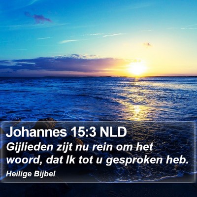 Johannes 15:3 NLD Bible Verse Image