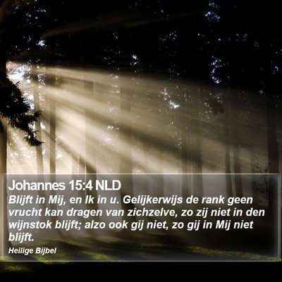 Johannes 15:4 NLD Bible Verse Image