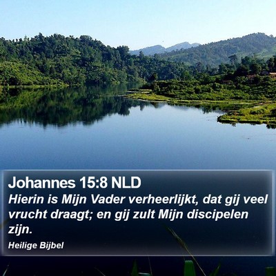 Johannes 15:8 NLD Bible Verse Image